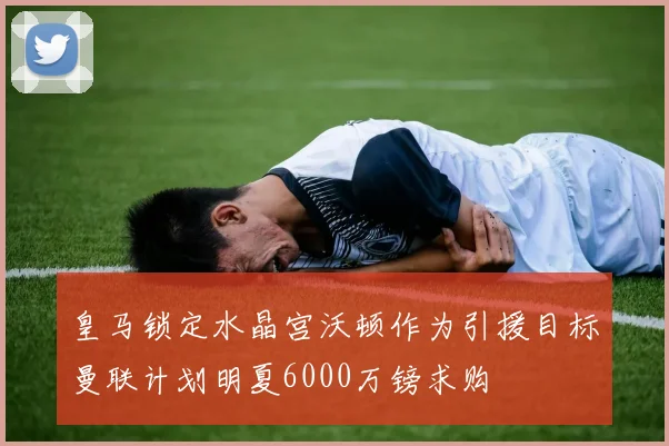 皇马锁定水晶宫沃顿作为引援目标曼联计划明夏6000万镑求购