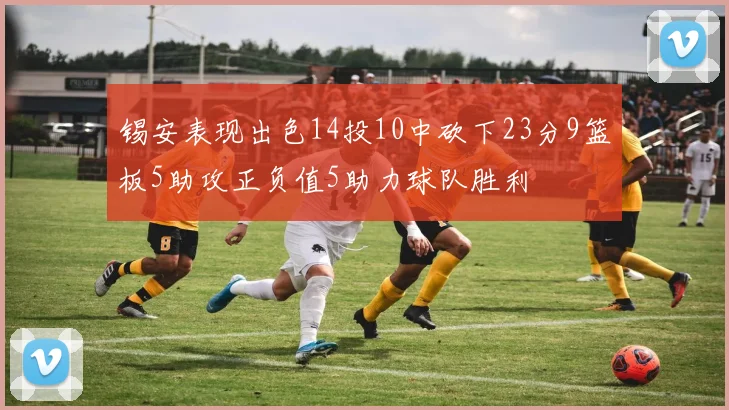 锡安表现出色14投10中砍下23分9篮板5助攻正负值5助力球队胜利
