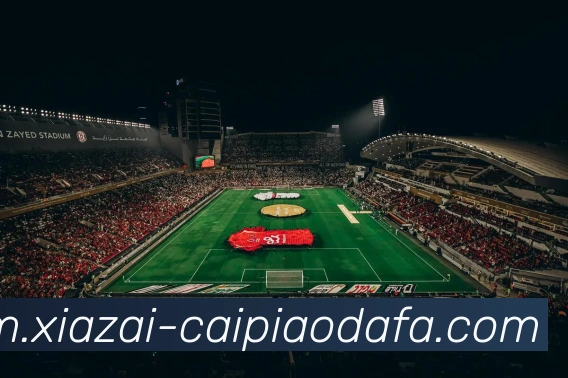 大发彩票发展历程